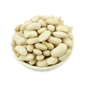 Best Quality Wholesale Natural Navy White Kidney Beans from South Africa