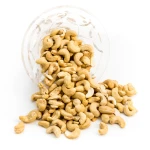 Raw Cashew Nuts W180, W210, W240, W320, WW Grades, Bulk Wholesale Supplier & Exporter