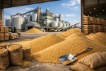 Non-GMO Soybeans, GMO Soybeans