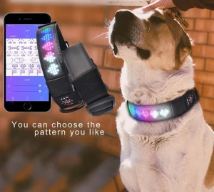 Cheribetty Fashion LED Personalized Anti-Lost Dog Necklace