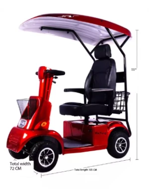 Recreational Electric 4 Wheel Low Speed Vehicel with Roof Shade and Luxury parts