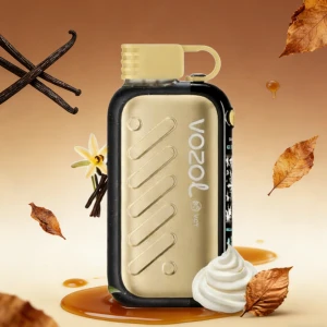 vozol vape deutschland Vozol Einweg Vape Vozol Vista 20000 Puffs Wiederaufladbarer Einweg Vape  günstig kaufen in Deutschland main image 0
