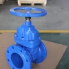 F4 Gate Valve