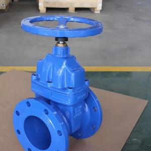 F4 Gate Valve