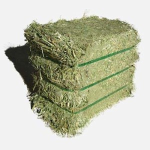 High Quality Non-GMO Alfafa Hay for Animal Feeding Alfalfa /Rodent Hay for sale