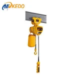 0.5 Ton WKTO  ton Electric Hoist for Gantry Crane/ Overhead Crane/ Jib Crane