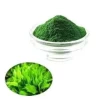High-Purity Spirulina Extract Juice Powder High quality Organic Spirulina Food Grade Wholesale Nutrition Green Superfood