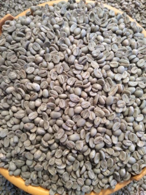 Robusta Coffee Beans (Raw/Green)