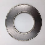 Reinforced Graphite Gasket