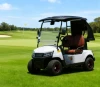 2 Seater Classic Electric Golf Cart 48V Lithium Battery 3.5KW AC motor