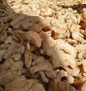 Premium Dry Ginger – Sun-Dried, Aromatic & High in Essential Oils