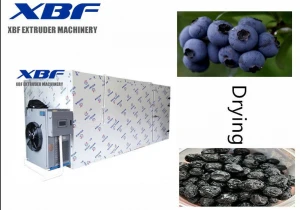 Energy-Saving Air Source Heat Pump Dryer for blueberries friut vegetables  Similar Nature Drying System