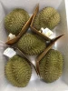 Fresh Durians