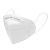 Import KN95 Respiratory Face Mask from USA
