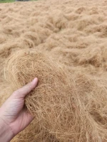 Coconut Fiber Bale best quality