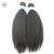 Import Malaysian Virgin Hair Kinky Straight Hair Natural Color Can Be Colored from China