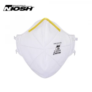 Niosh N95 Disposable Respirator