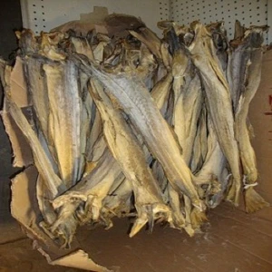 Dried Cod Full Bale for Immediate Supply Haithe, Haddock.