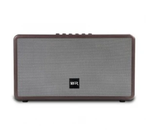 Bluetooth live Speaker dual portable speaker for indoor party﻿