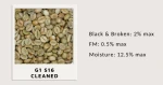 Robusta Green Coffee Bean Grade 1 Screen 16 Clean