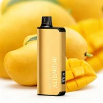 Wholesale Alibarbar Ingot 9000 Puffs Disposable Vape | Factory Direct Lowest Price | Shenzhen China Global Shipping