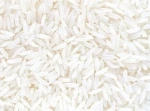 Rice Grain