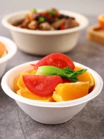 Bagasse sugarcane bowl