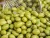 Import Olives from Egypt