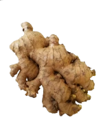 White Ginger