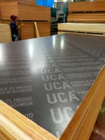Premium Film Faced Coated Plywood