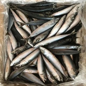 100-150g New Arrival Whole Round Frozen Pacific Mackerel Fish