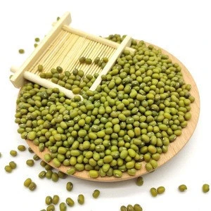100% 2020 wholesale Green mung beans for sprouting