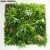 Import 100 x 100 cm  artificial boxwood hedge fence artificial plant wall Anti-UV waterproof Material vertical garden home decoration from China