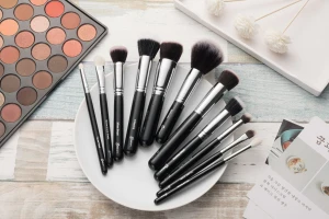 10PCS Professional Makeup Brush Set with Wooden Handle Supply OEM