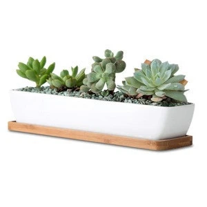 11.1 inch long rectangle White Ceramic Succulent Planter Pots - Not Include Wooden Tray and Plants
