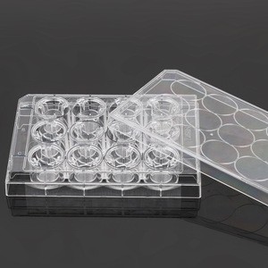 12 Cell Culture Inserts+24 Well Plate 3um PET Non-Treated Sterile