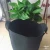 Import 1/3 / 5 / 7 / 10 / 15 / 20 / 25 / 45 / 60 Gallon Felt Fabric Grow Pot Grow Bag for trees/flowers/tomato/potato from China