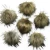Import 14 CM 16 CM 18 CM Large Faux Fake Raccoon Fur Pom Poms Puff Fluffy Ball With Snap For Beanie Hat from China