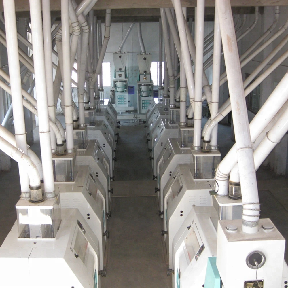 150T per 24h maize flour milling machine with successful project