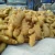 Import 2016 Chinas exporters of ginger/Fresh Ginger from China