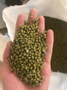2018 New Crop Common Cultivation Sprouting Green Mung Beans