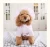 Import 2019 New Summer Pet Apparel Pink plaid princess shirt floral hoodie dog clothing from China