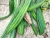 Import 2020 Fresh organic luffa cut vegetable with high quality from Bulgaria