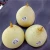 Import 2020 New Corp Top Quality Best Price Ya Pears fresh pears from china from China