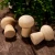 Import 2020 New Wholesale 10PCS 45mm Wooden Mushroom Blank For Kids DIY Handmade Wood Craft Home Nursery Decor Unfinished Wood Product from China