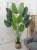 Import 2020 Wedding Decoration Artificial plants Green banana leaf Cordyline leaves for outdoor Indoor Planter from China