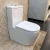 Import 2020 Western Modern Minimalist Factory Supply European WC Bathroom Ceramic Two Piece toilets seat from China