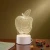 Import 2021 cute Anime Creative Gift toy Clear charge lighting usb Optical Illusion Color portable acrylic night light for kids from China