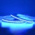Import 240leds/m super bright colorful  RGB 3535 5050 3838 led strip from China