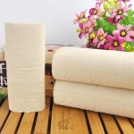 2ply Deluxe Custom Embossed Bathroom Sanitary Tissue Toilet Paper